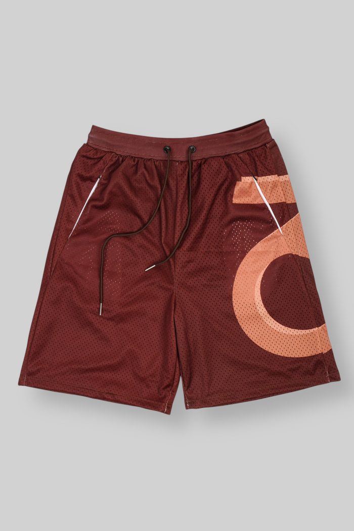 Side Logo Mesh Shorts (Brown)
