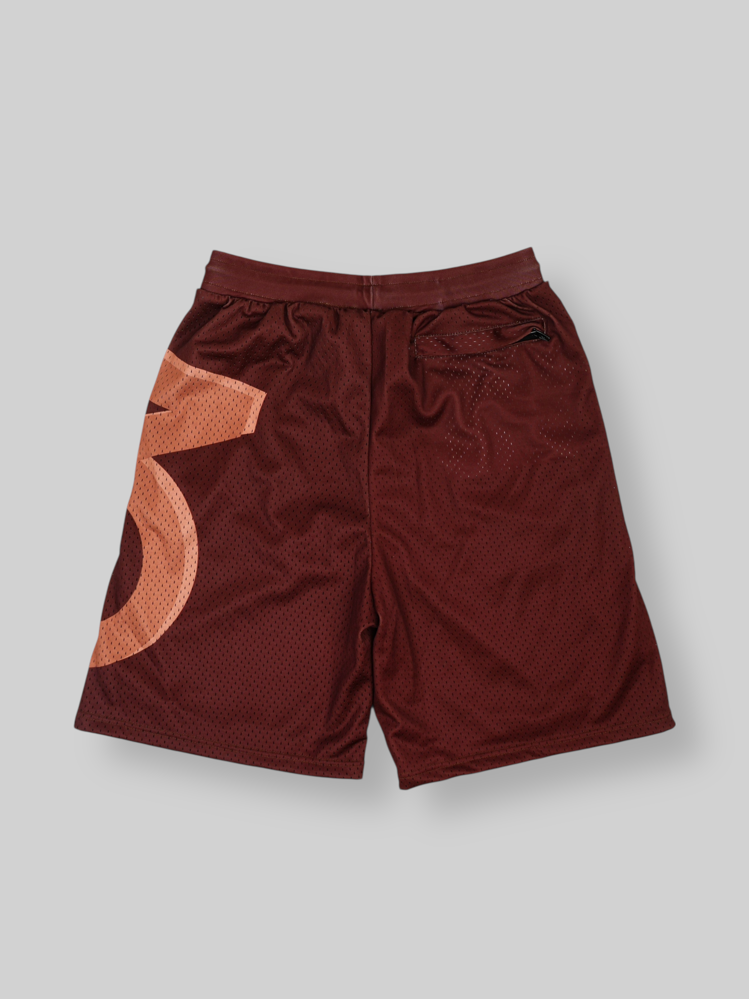 Side Logo Mesh Shorts (Brown)