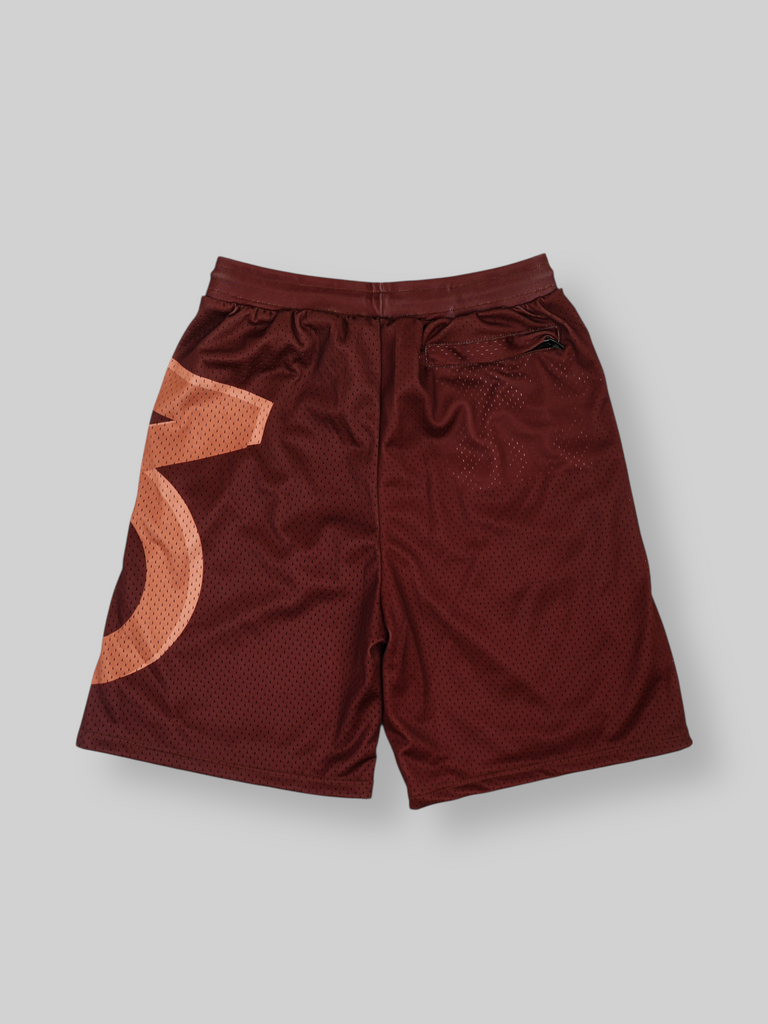 Tag Mesh-Basketballshorts (Schwarz)