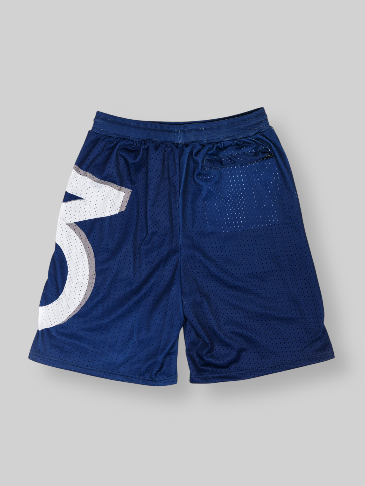 Side Logo Mesh Shorts (Navy)
